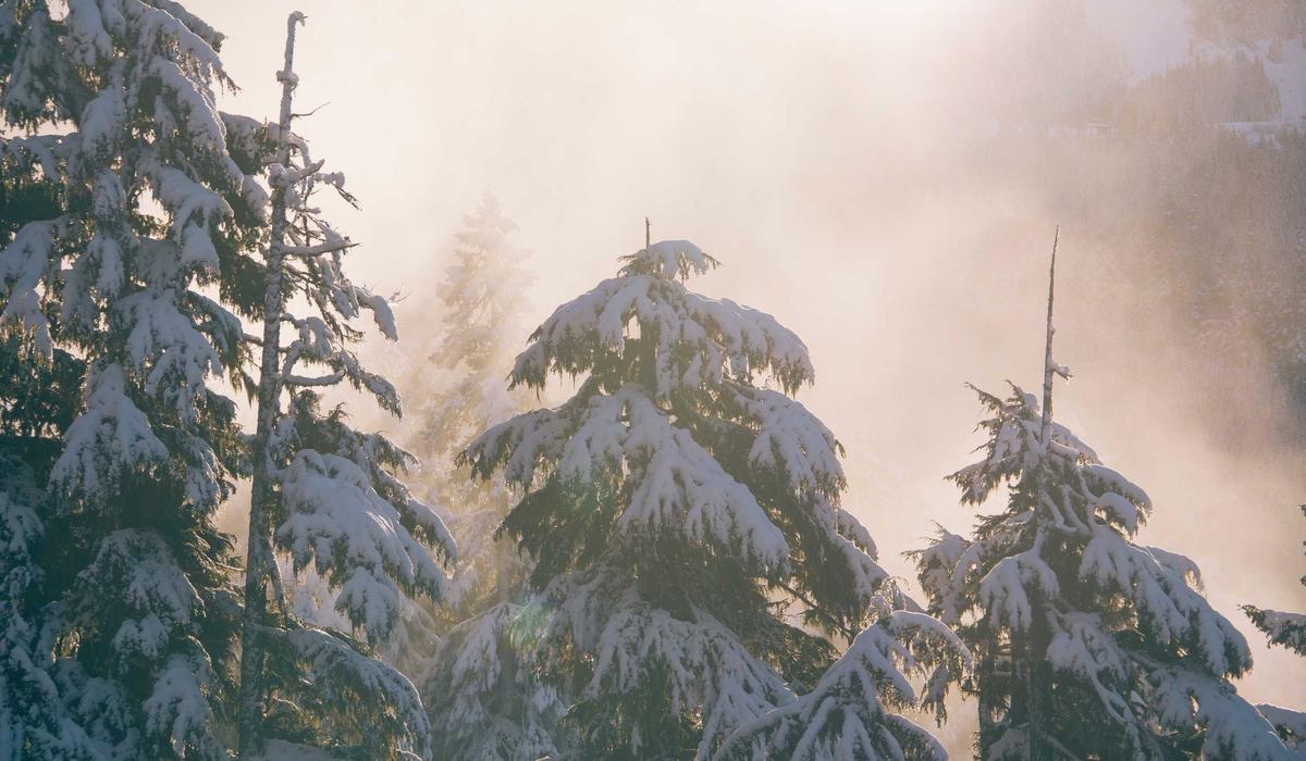 Questions and answers about planning a seasonal update